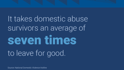 Domestic Violence Stat